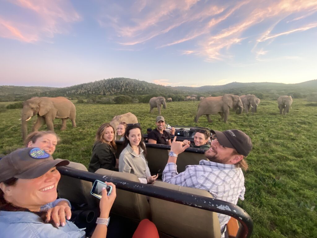 Eco-friendly wildlife safaris with sustainable guided tour