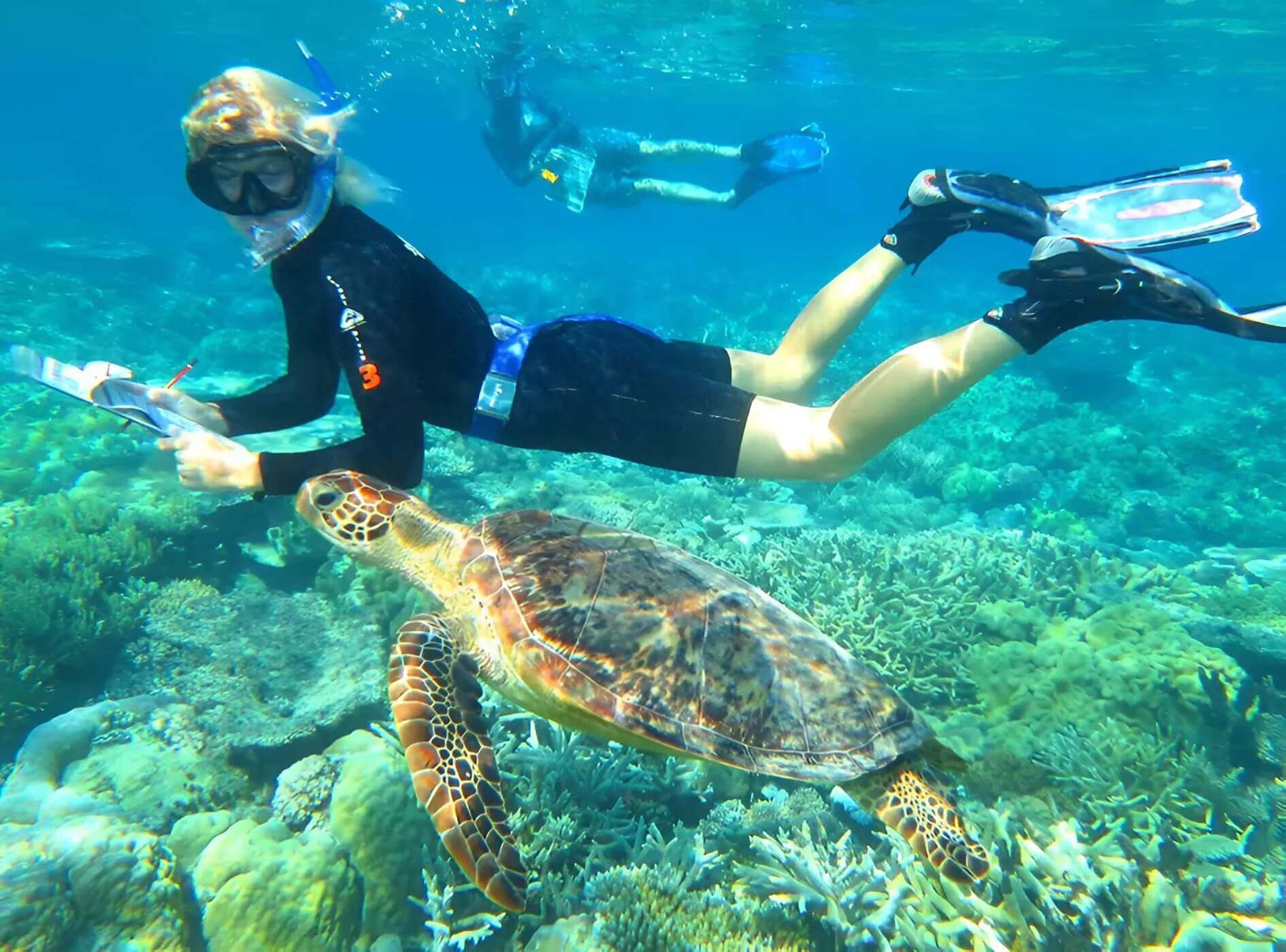 Marine conservation protecting coral reefs in Australia